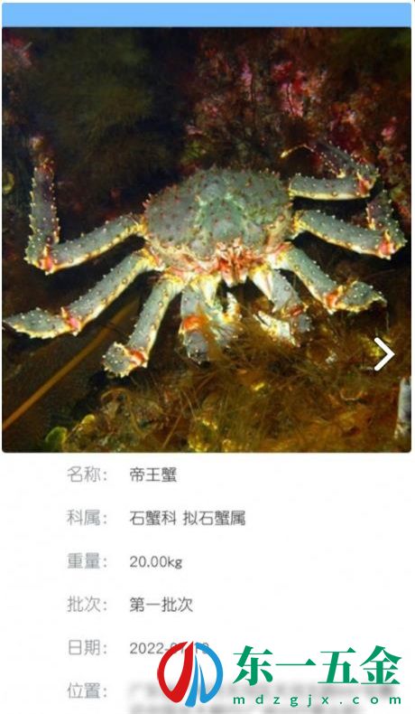 南海天然海鮮商家