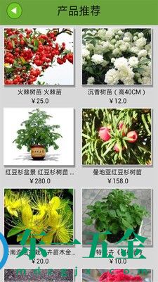 掌上花卉苗木網(wǎng)