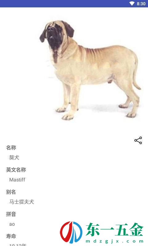 寵物合集