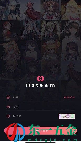 hsteam軟件