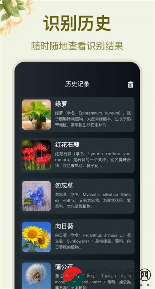 拍照識花大師app