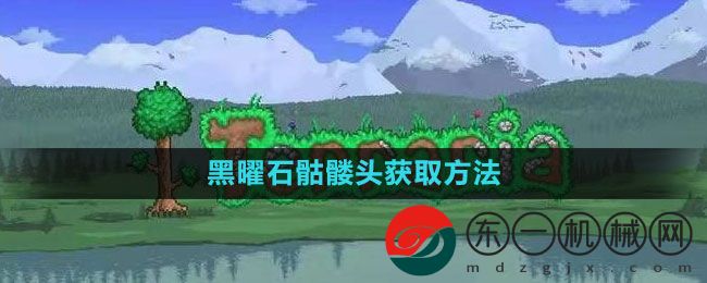 《泰拉瑞亞》黑曜石骷髏頭獲取方法